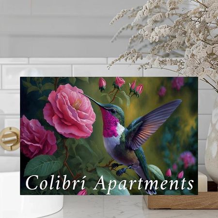 Colibri Apartamentos Vista Mar Мохакар Екстер'єр фото